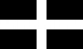 St. Piran's Flag